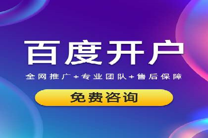 谷歌竞价广告与SEO结合的营销案例解析